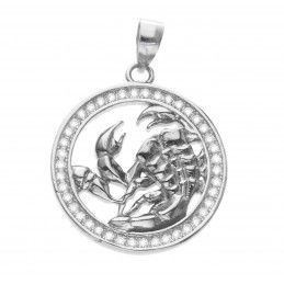 Srebrny rodowany Ag 925 wisior znak zodiaku Skorpion WZ310122
